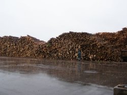 250 intro RSC mediena 09.01 1