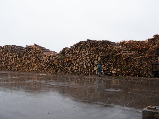 558 article RSC mediena 09.01 1