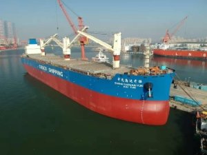 300 vessel