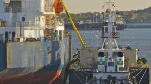 300 bunkering