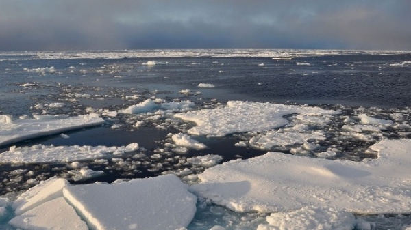 600 arctic sea ice