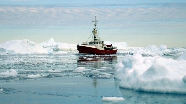 600 greenland fishing trawler grid ardenal peter provoksh cc by sa nc 20.57c44a