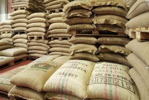 300 Coffee bags