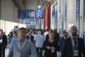 300 Posidonia photo
