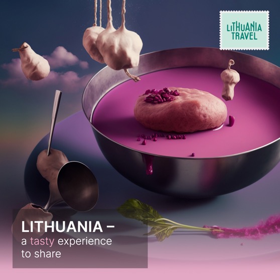Lithuania   an experience to share 1