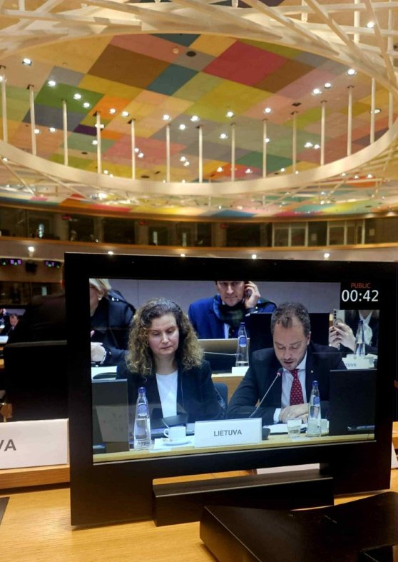 J.Taminskas ES transporto ministrų taryba 1 558