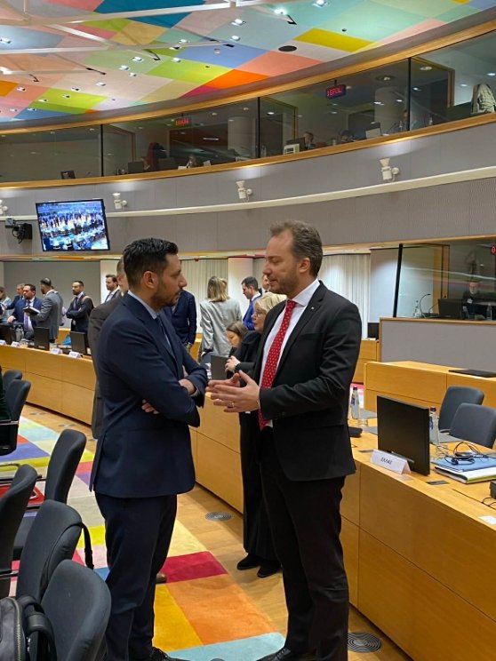 J.Taminskas ES transporto ministrų taryba 2 558