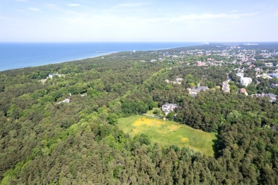 Meno galerija 3 Iš aukštai 558