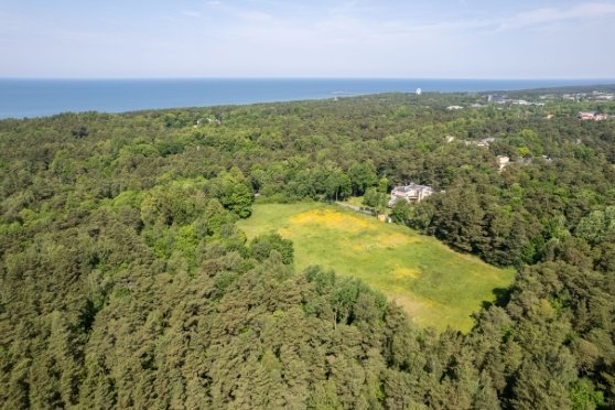 Meno galerija Žiemos aikštė Iš aukštai 558