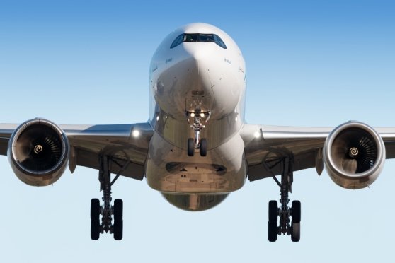 Chapman Freeborn aircraft 1 558