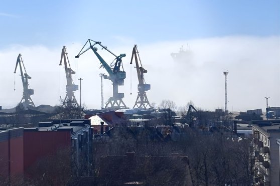 Rūkas Klaipėdos uoste 558