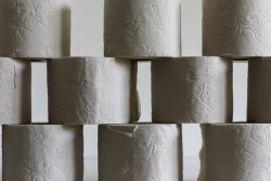 intro toilet paper 4956519 1920 cropped 1.5